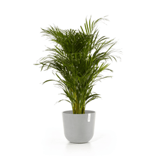 Ecopots Oslo White Grey