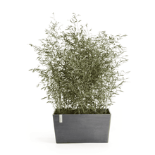 Ecopots Paris Grey 80cm