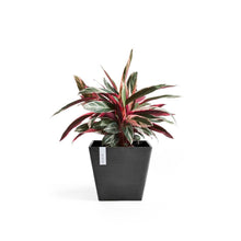 Ecopots Rotterdam Dark Grey