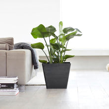 Ecopots Rotterdam Dark Grey