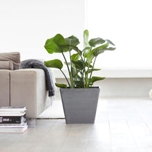Ecopots Rotterdam Grey