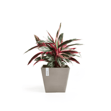 Ecopots Rotterdam Taupe