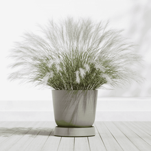 Ecopots Saucer Wheels Oslo Taupe