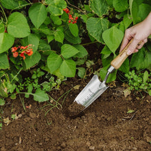 Kent & Stowe Hand Transplanting Trowel Stainless Steel