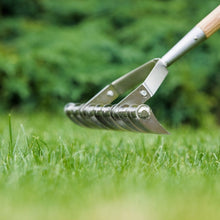 Kent & Stowe Scarifying Rake - Stainless Steel