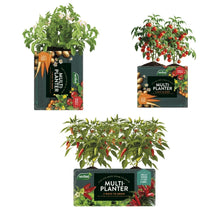 Multi-Planter Growbag