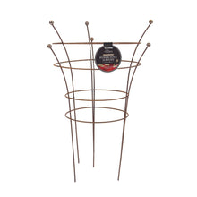 Tom Chambers Herbaceous Support Rust - Twin Pack